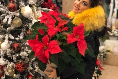 Anna Pletneva with a bouquet of Mexican red poinsettias.
